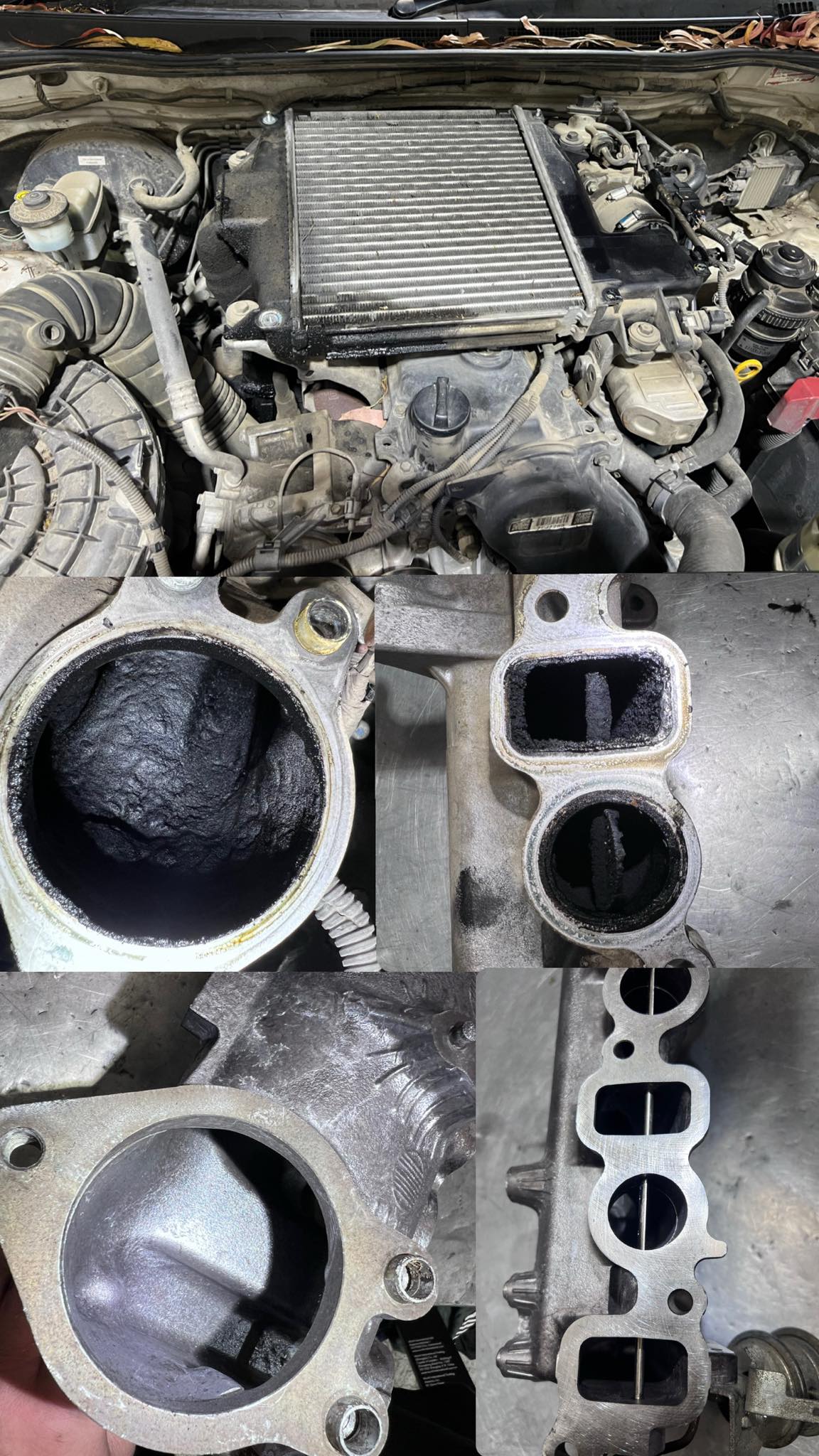 Diesel Engine Specialist